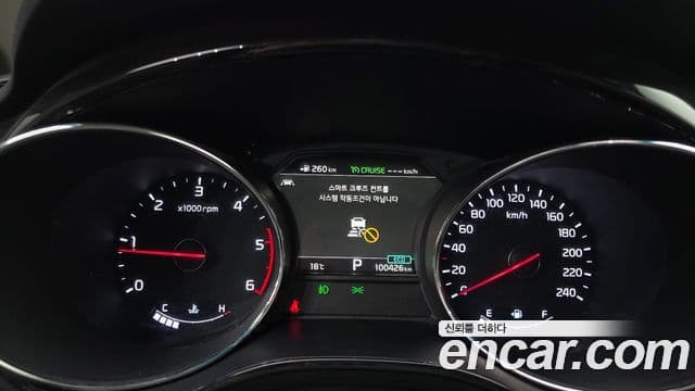 Kia The / новый New Carnival Special, 2019 8