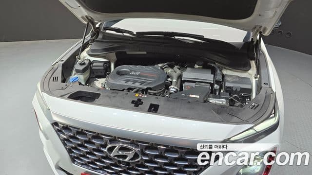 Hyundai Santa Fe TM Inspiration, 2020 6