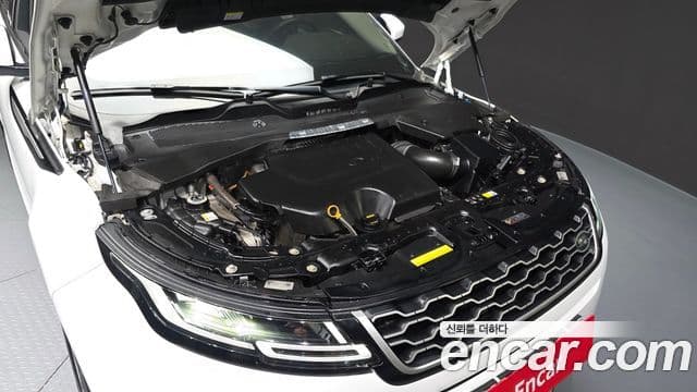 Land Rover Range Rover Evoque 2세대 P250 SE, 2022 6